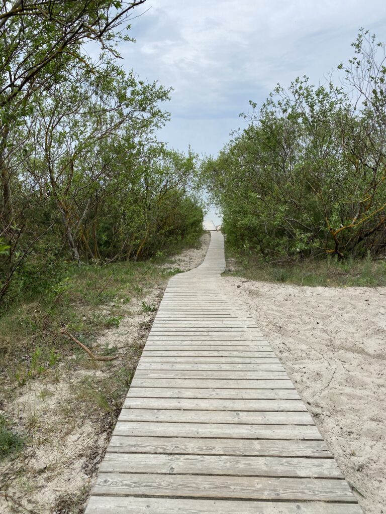 dünen kurische nehrung klaipeda