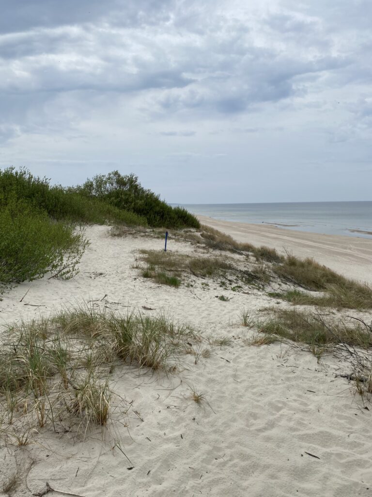 kurische nehrung dünen strand bei klaipeda