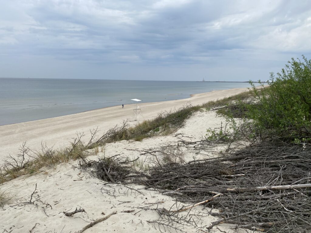 kurische nehrung dünen litauen